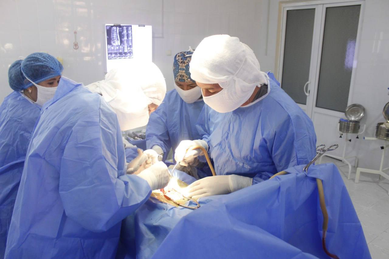 Qashqadaryo viloyati ko‘p tarmoqli tibbiyot markazida murakkab neyroxirurgik amaliyot muvaffaqiyatli o‘tkazildi